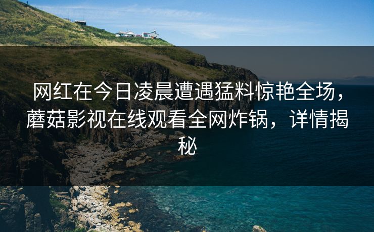 网红在今日凌晨遭遇猛料惊艳全场，蘑菇影视在线观看全网炸锅，详情揭秘