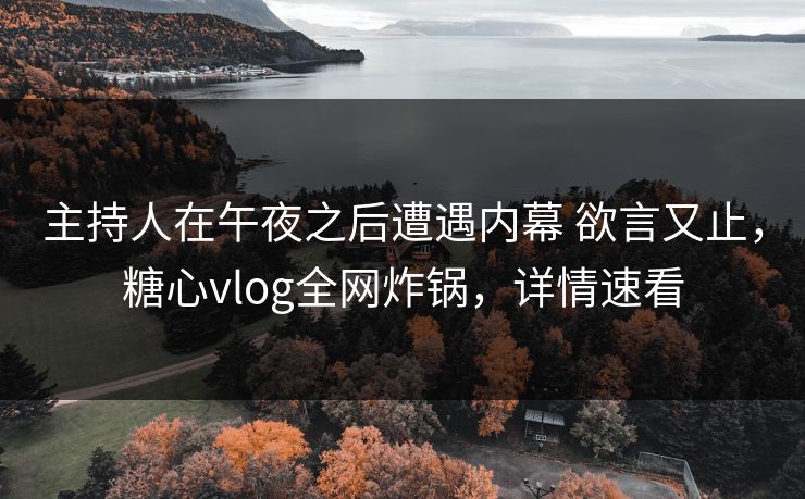主持人在午夜之后遭遇内幕 欲言又止，糖心vlog全网炸锅，详情速看