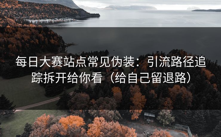 每日大赛站点常见伪装：引流路径追踪拆开给你看（给自己留退路）