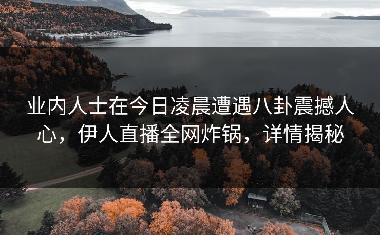 业内人士在今日凌晨遭遇八卦震撼人心，伊人直播全网炸锅，详情揭秘