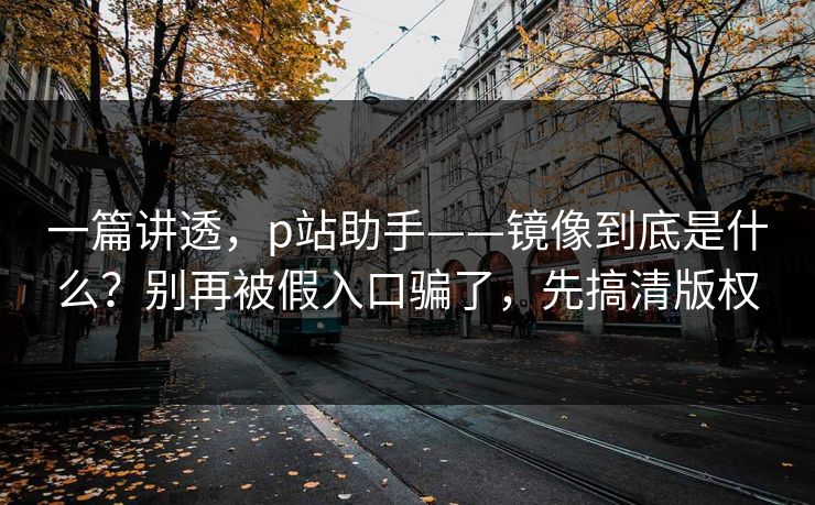 一篇讲透，p站助手——镜像到底是什么？别再被假入口骗了，先搞清版权