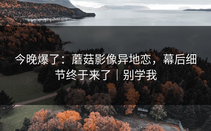 今晚爆了：蘑菇影像异地恋，幕后细节终于来了｜别学我